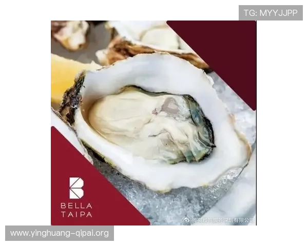 澳门角子机区最新优惠活动与优惠券领取指南让你玩得尽兴赚得更多